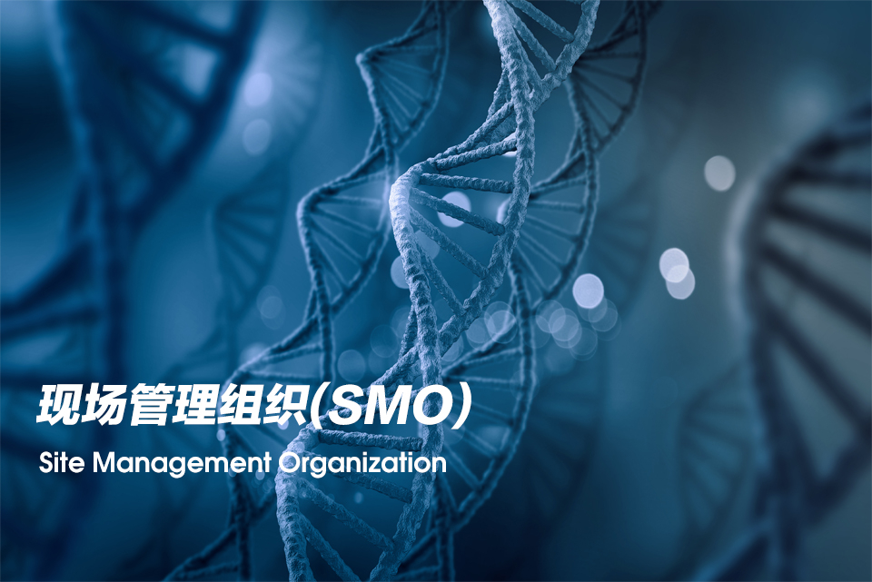 现场管理组织（Site Management Organization，，，SMO）